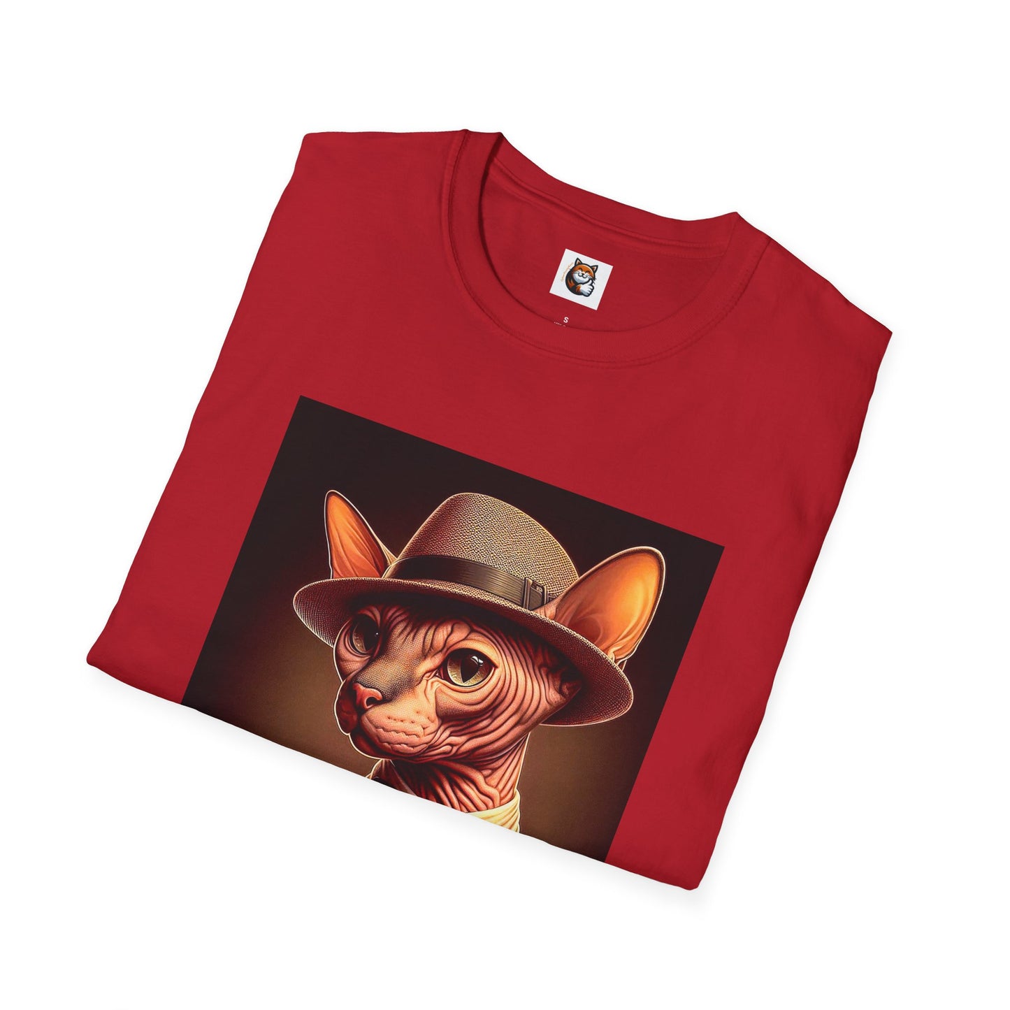 Sphynx Cat hairless top hat cutie