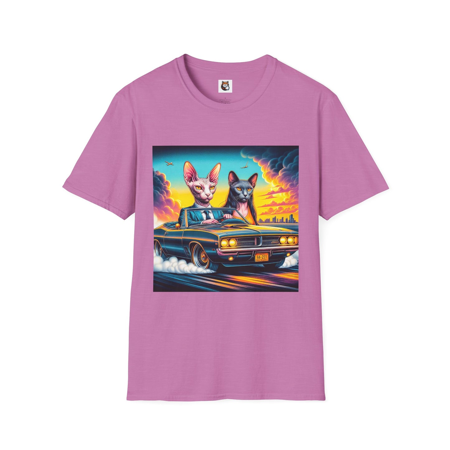 Wacky Sphynx Cat cats driving
