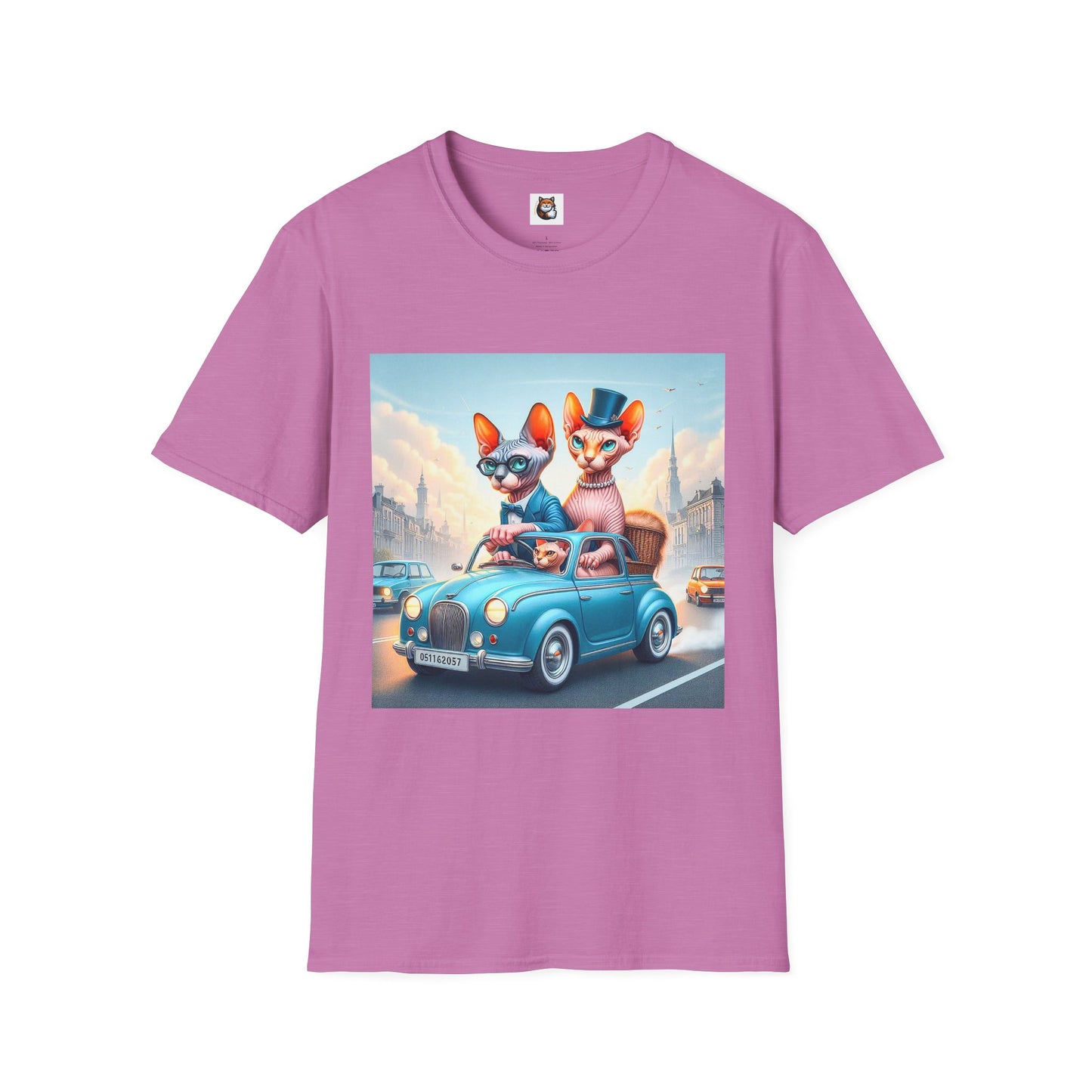 Wacky Sphynx Cat blue car
