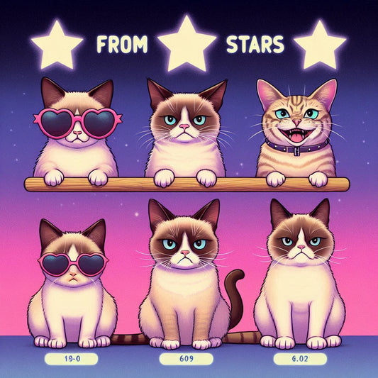 From Grumpy Cat to TikTok Stars: The Evolution of Feline Fame