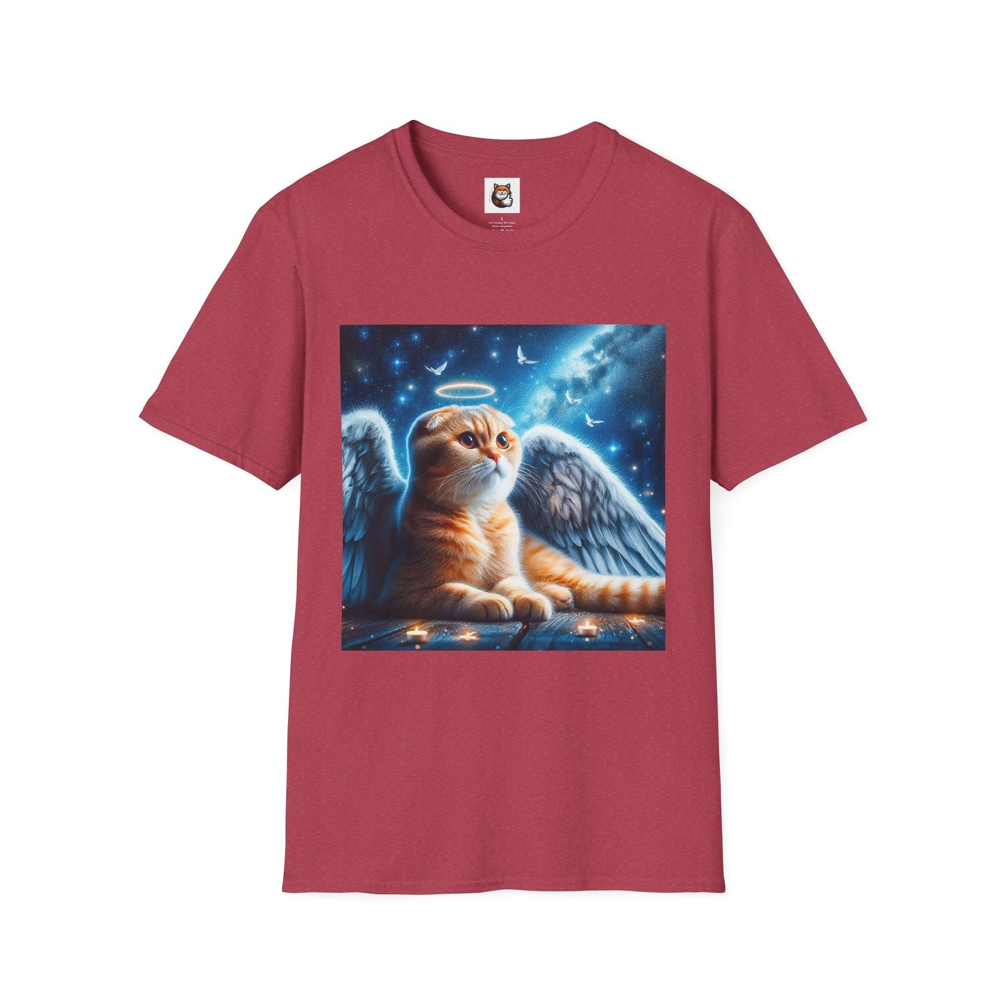 Scottish Fold Cat night Angel