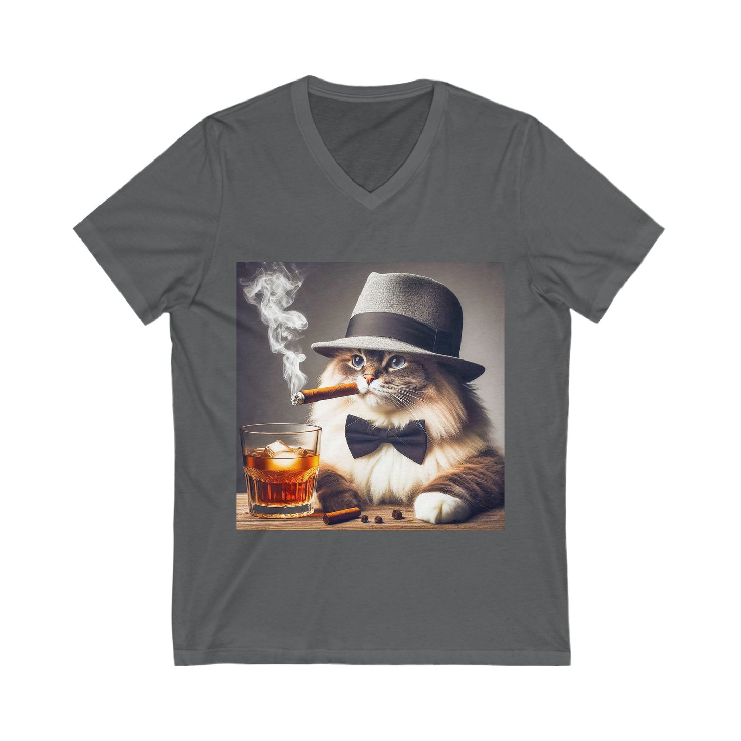 Ragdoll Cat Unisex Jersey Short Sleeve V-Neck Tee