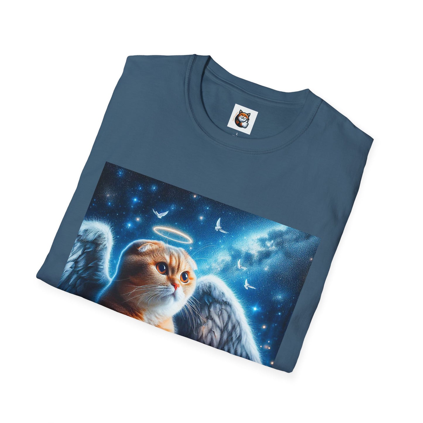 Scottish Fold Cat night Angel