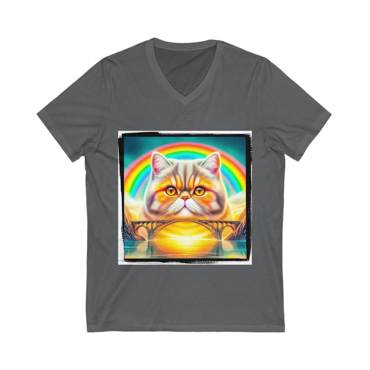 Exotic Shorthair rainbow bridge Short Sleeve V-Neck Tee