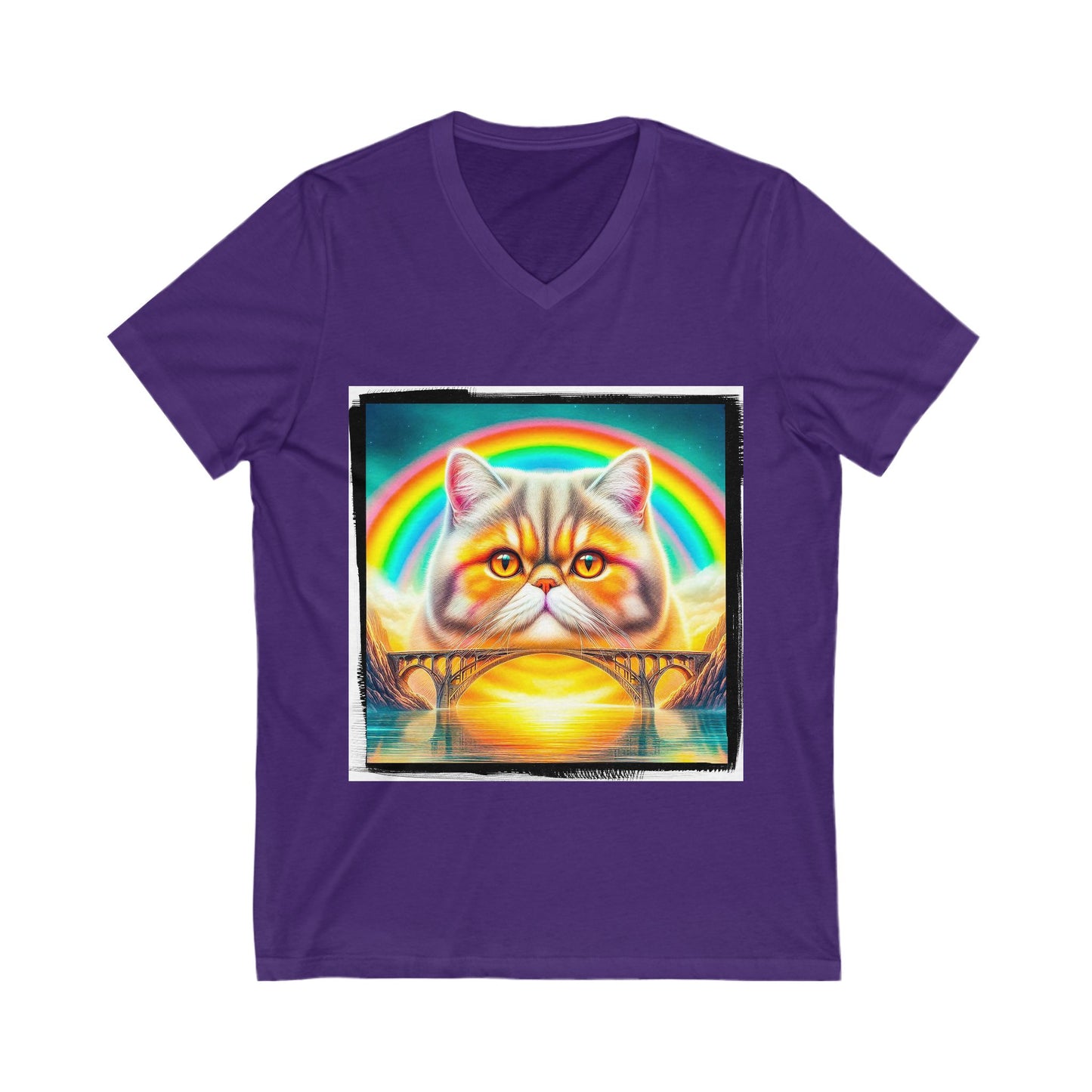 Exotic Shorthair rainbow bridge Short Sleeve V-Neck Tee