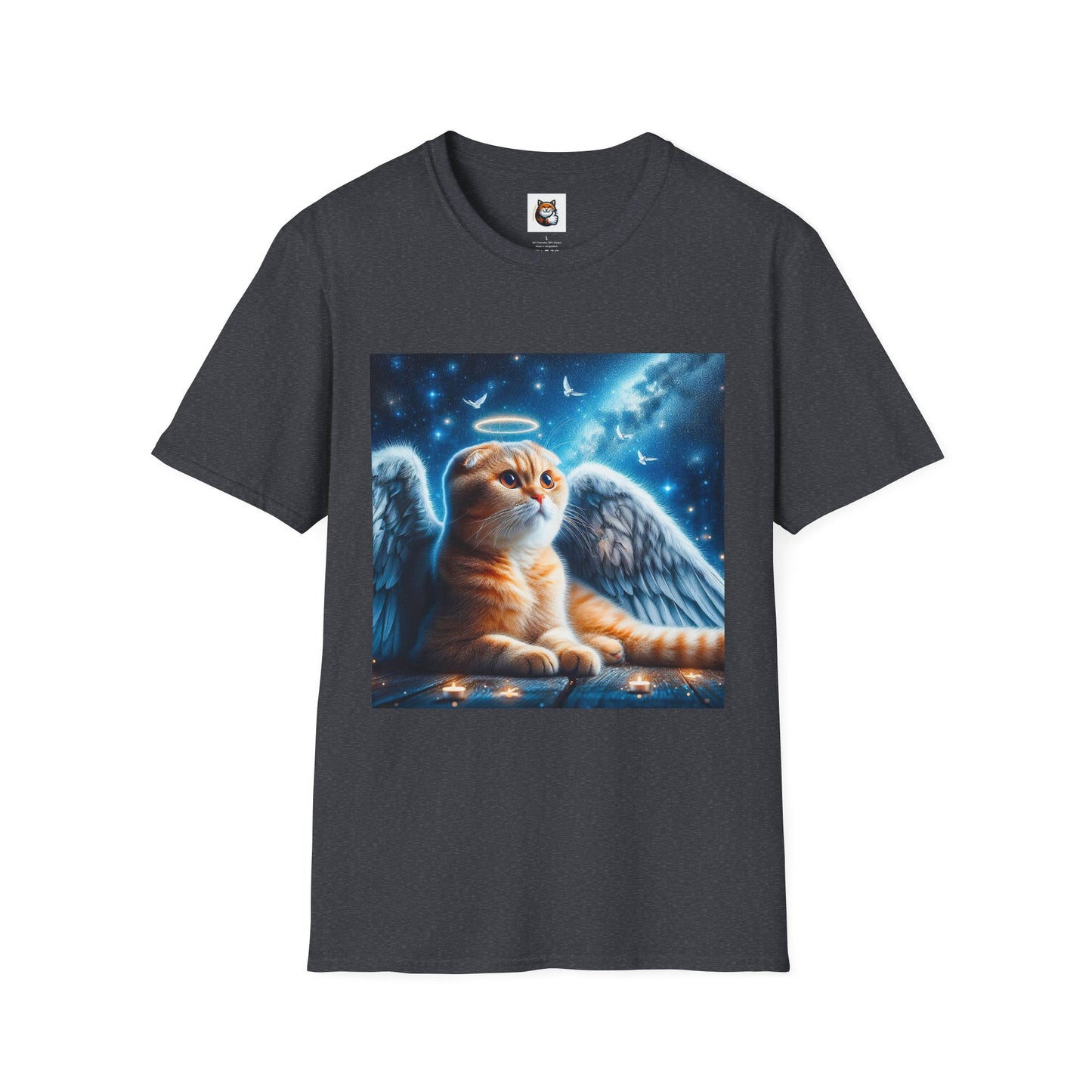 Scottish Fold Cat night Angel