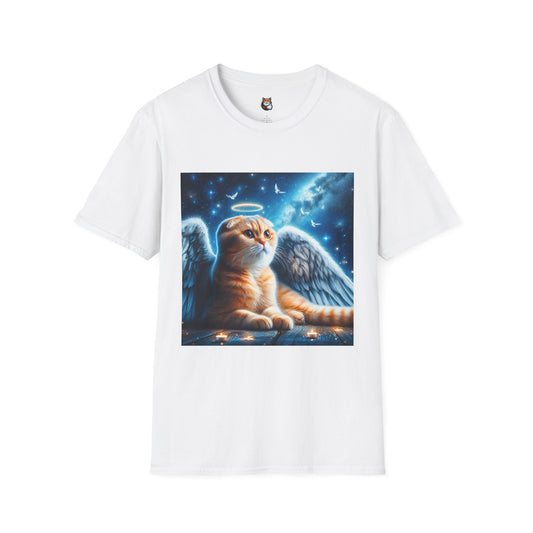 Scottish Fold Cat night Angel