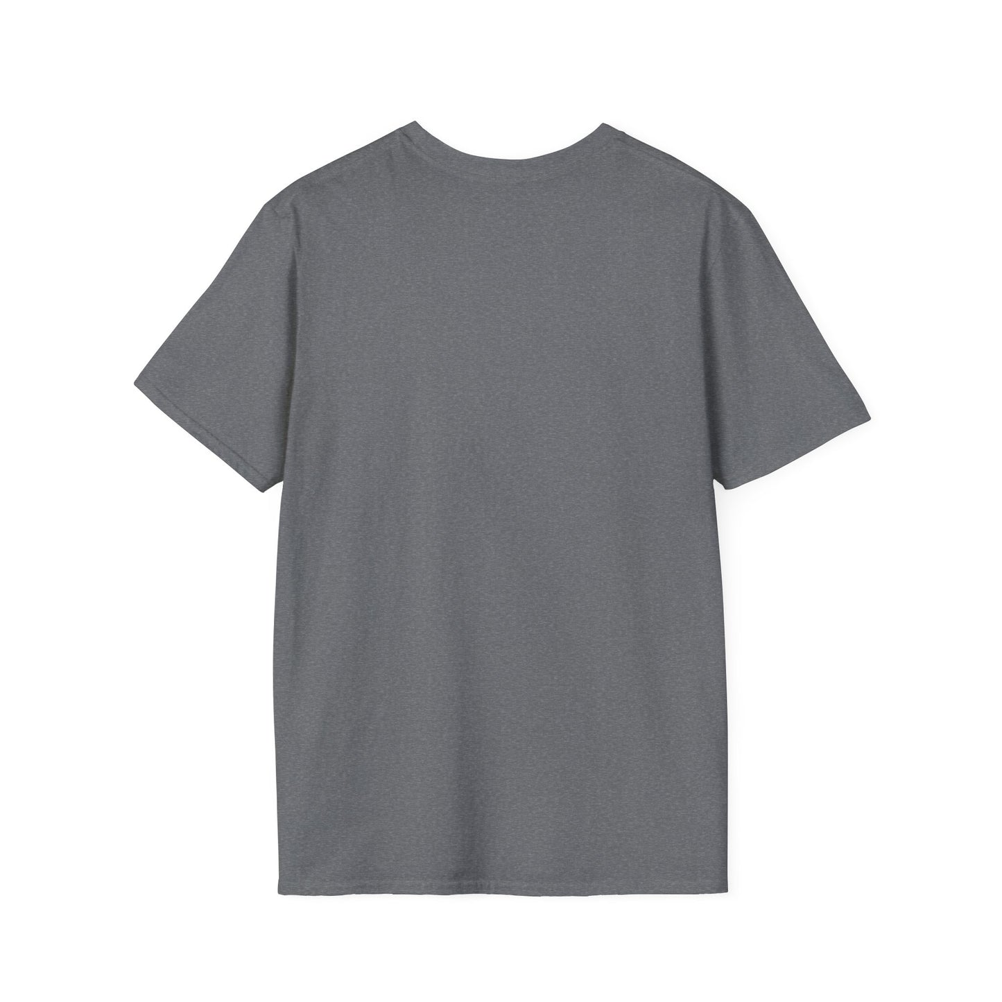 Sphynx Cat surfing beauty shirt