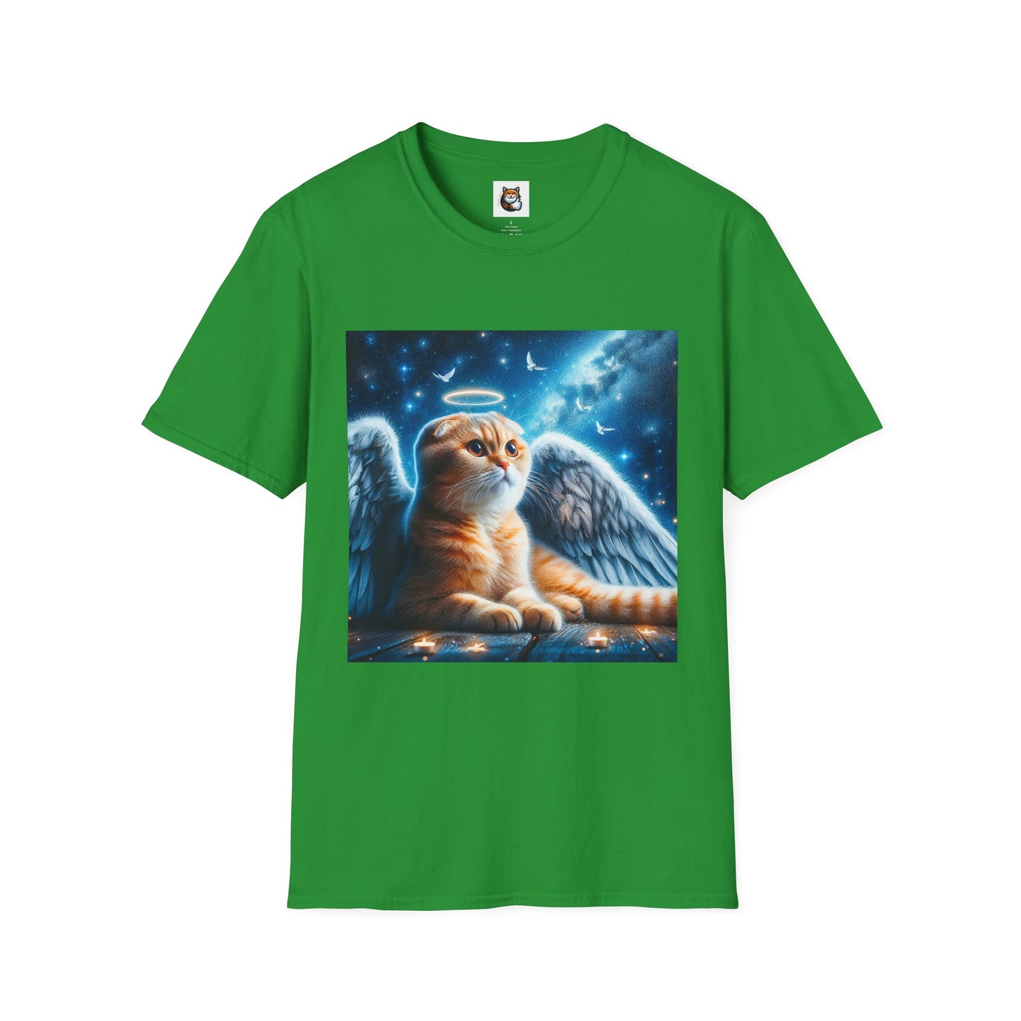 Scottish Fold Cat night Angel