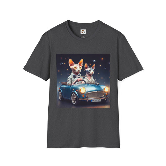 Wacky Sphynx Cat blue car