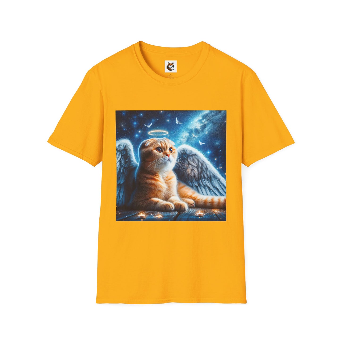 Scottish Fold Cat night Angel