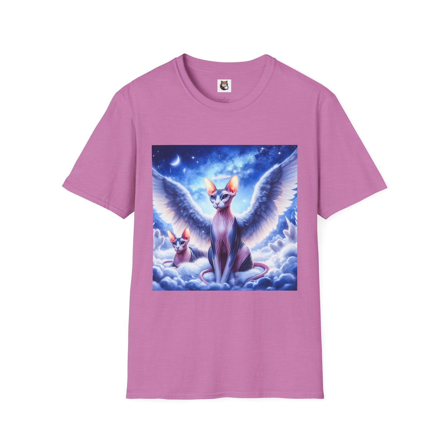 Sphynx Cat clouds and heaven