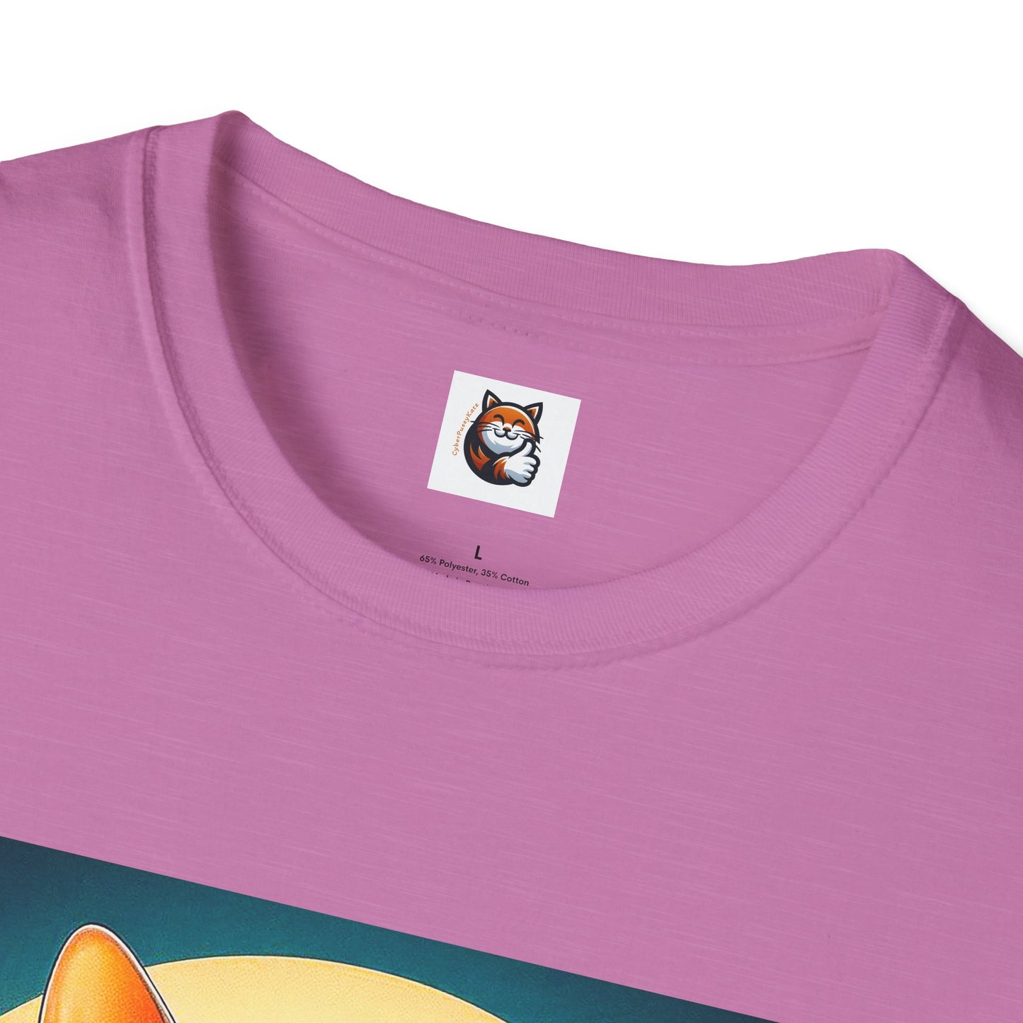 Sphynx Cat surfer