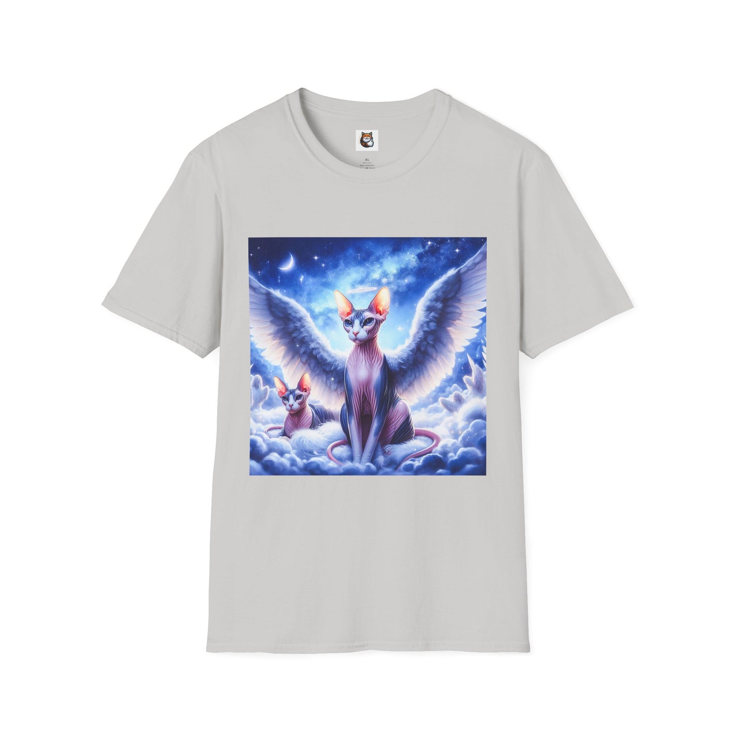 Sphynx Cat clouds and heaven