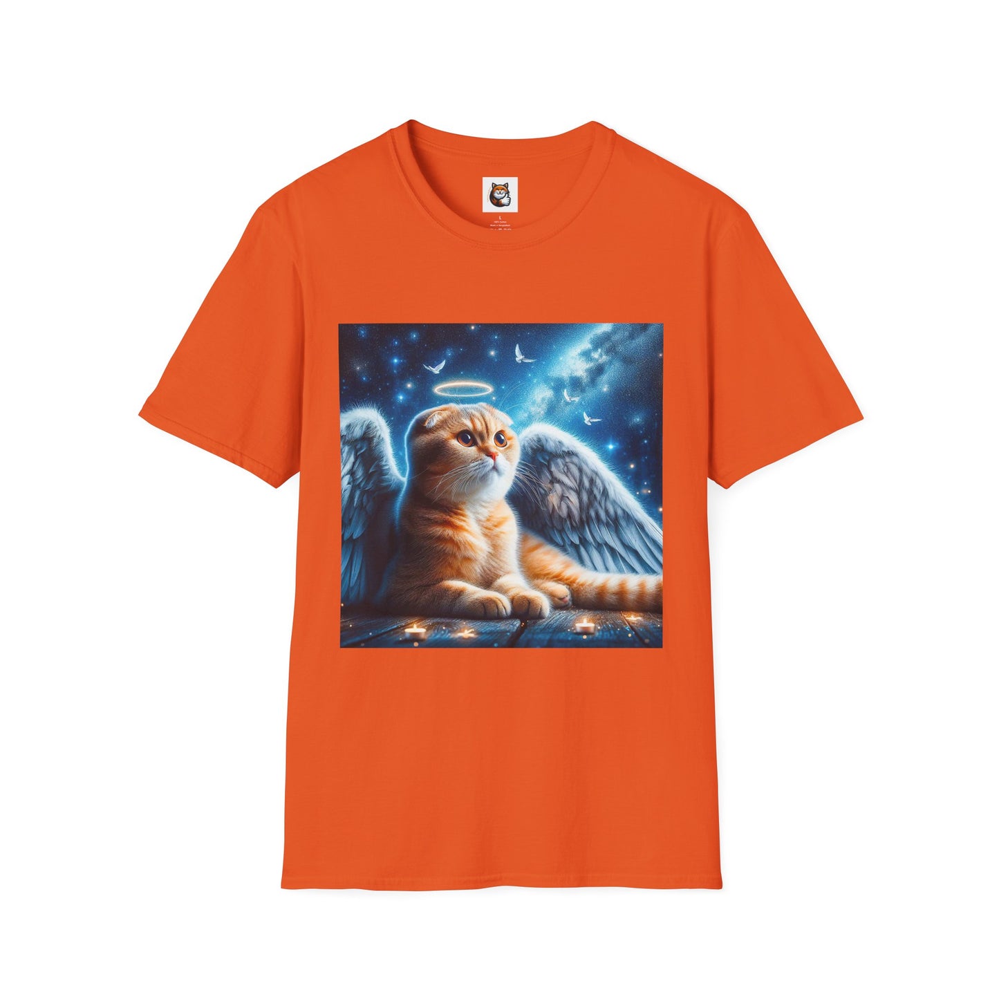 Scottish Fold Cat night Angel