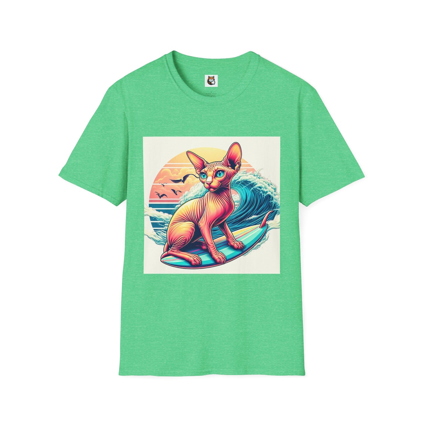 Sphynx Cat surfing