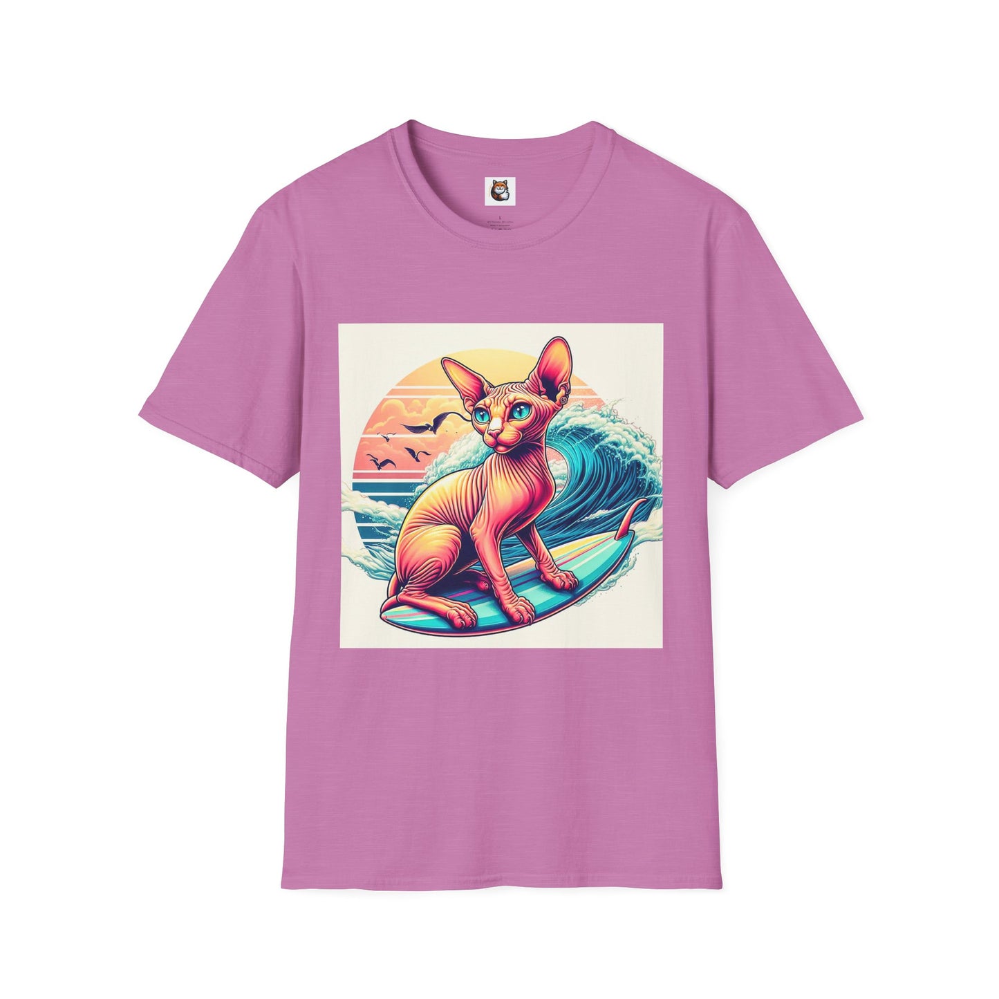 Sphynx Cat surfing