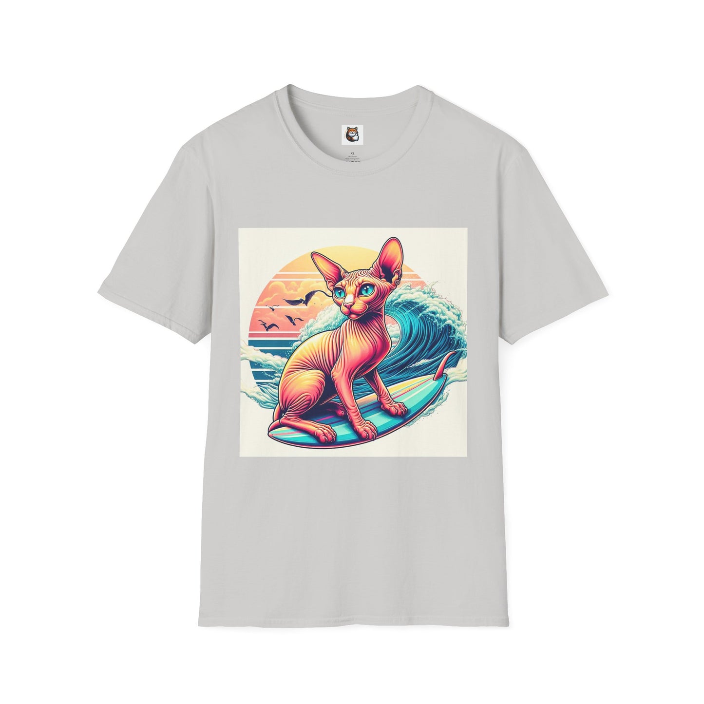 Sphynx Cat surfing