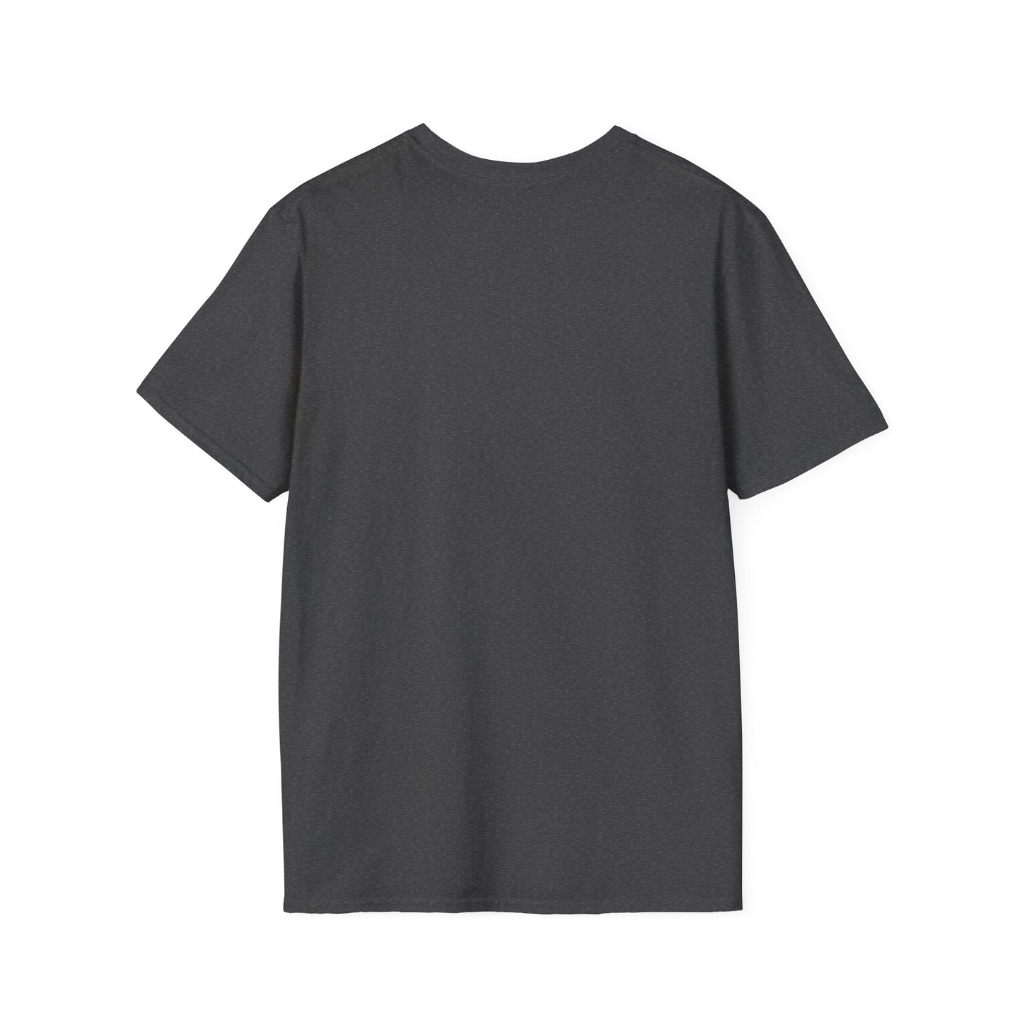 Sphynx Cat surfing beauty shirt