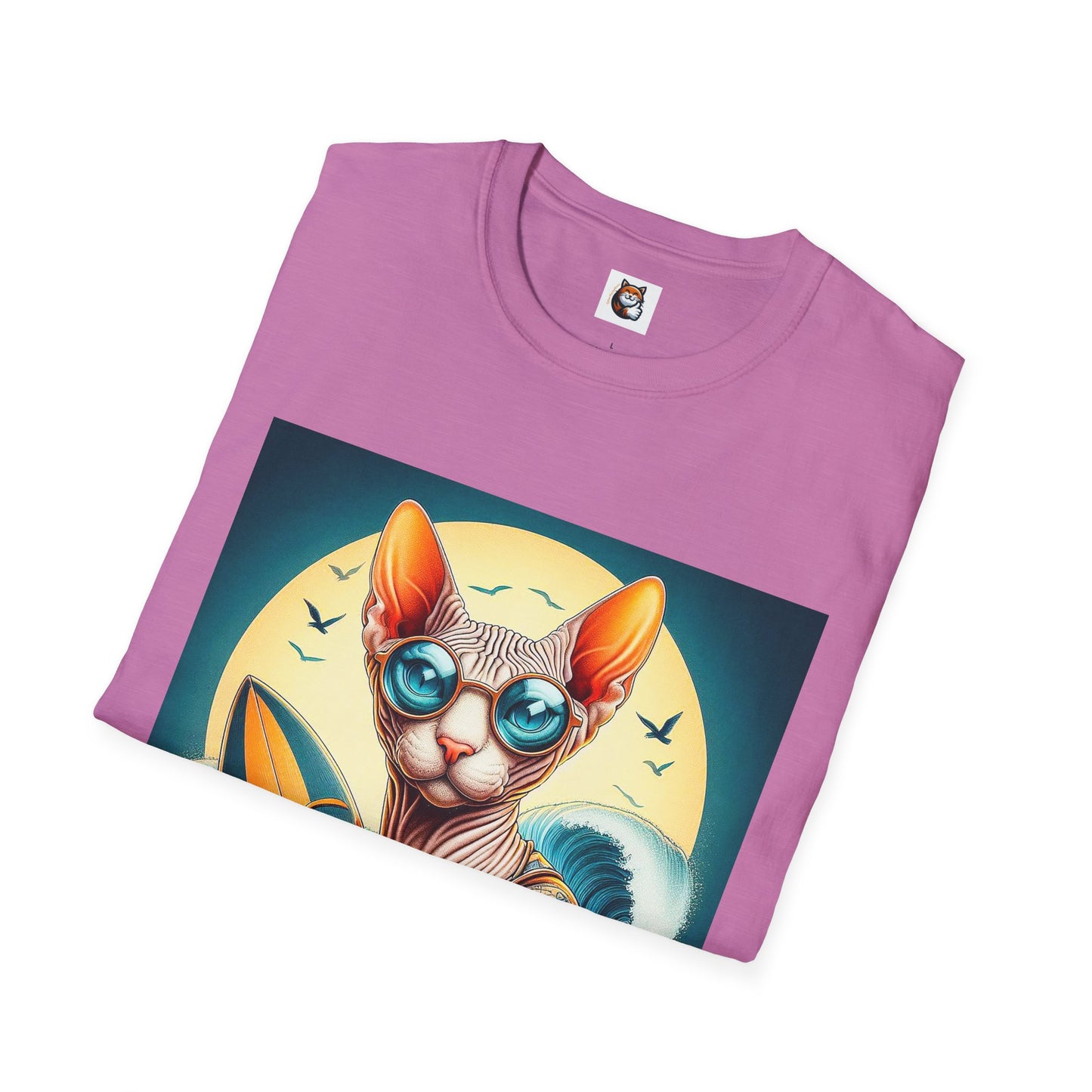 Sphynx Cat surfer