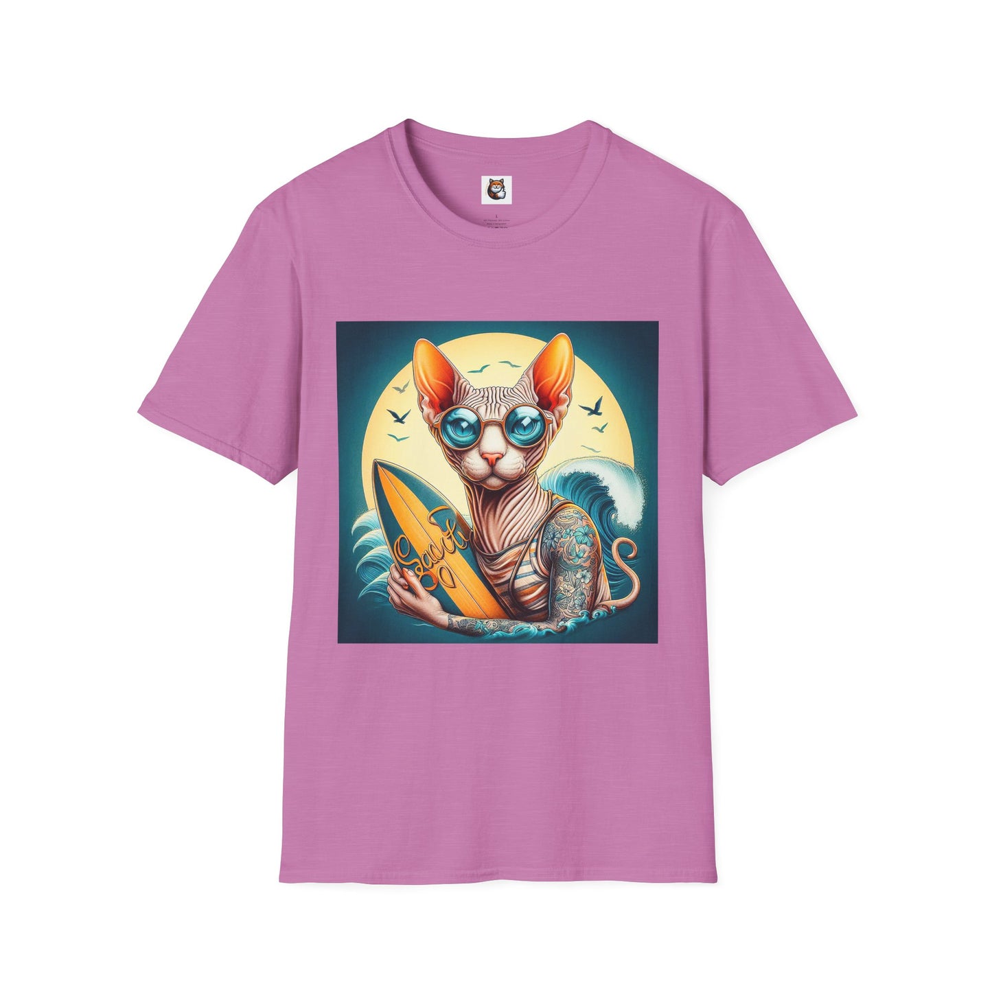 Sphynx Cat surfer