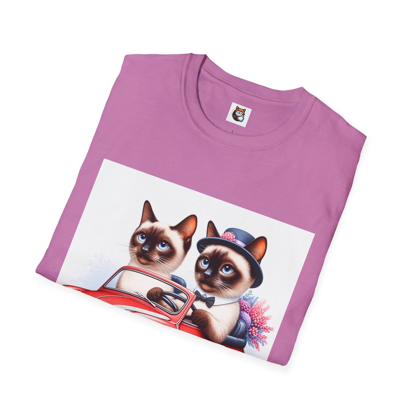 Wacky Siamese Cat friends driving
