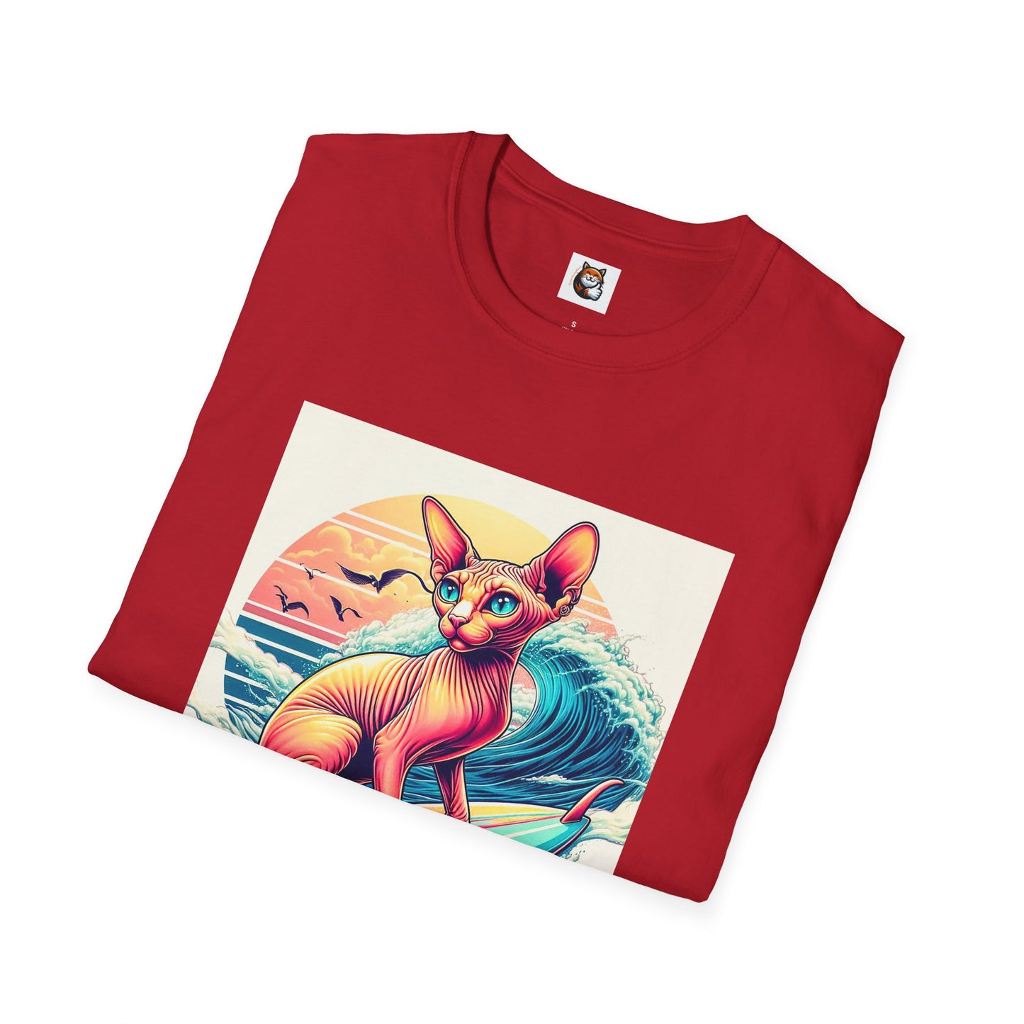 Sphynx Cat surfing