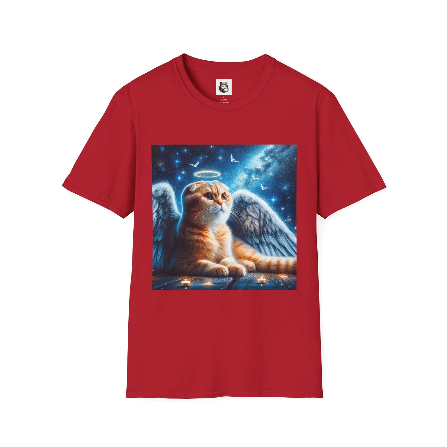 Scottish Fold Cat night Angel
