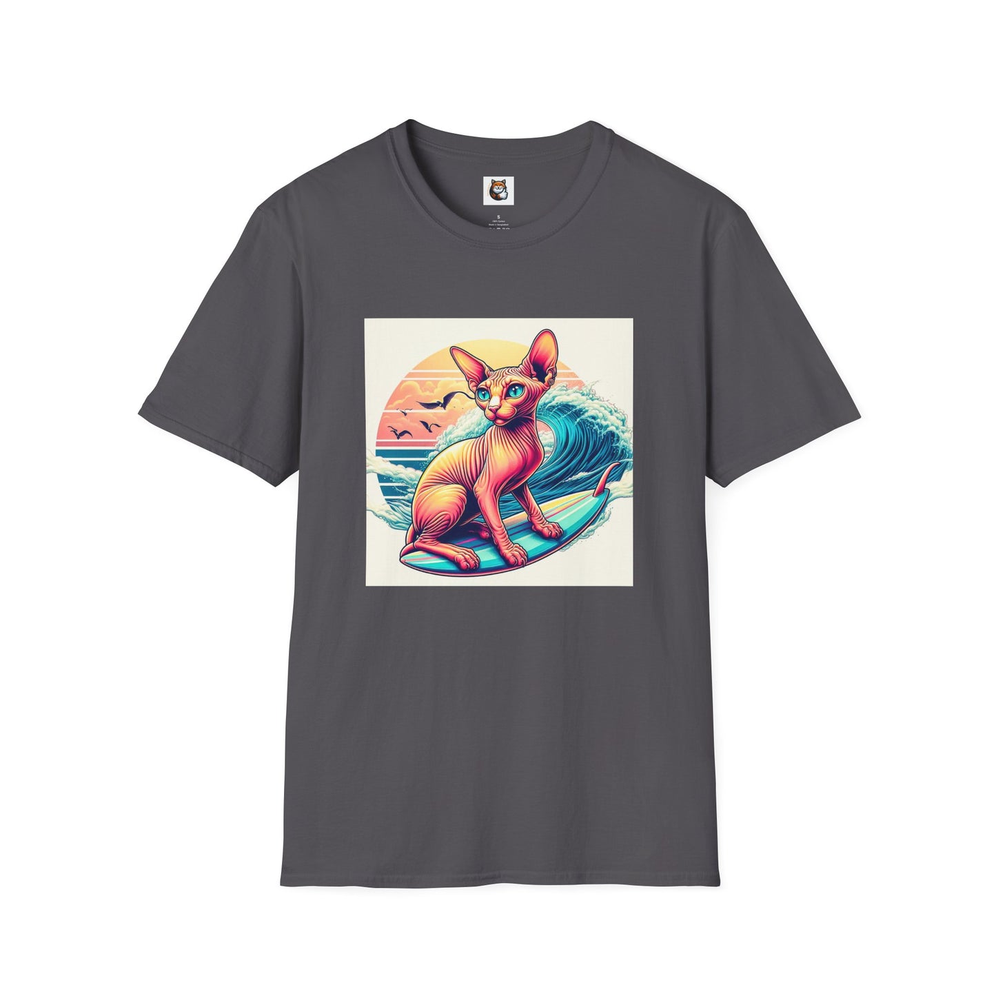 Sphynx Cat surfing