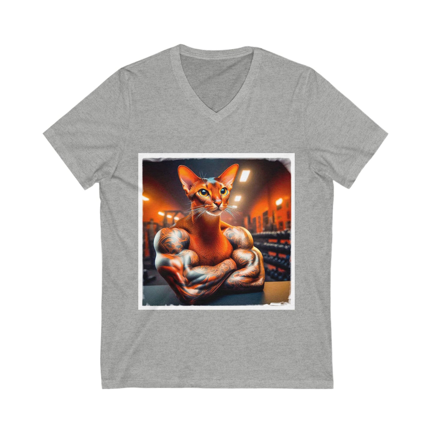 Abyssinian trainer Jersey Short Sleeve V-Neck Tee