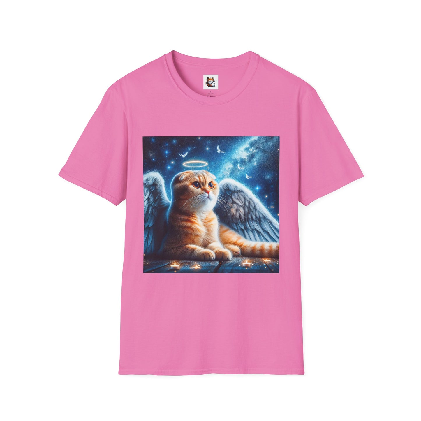Scottish Fold Cat night Angel
