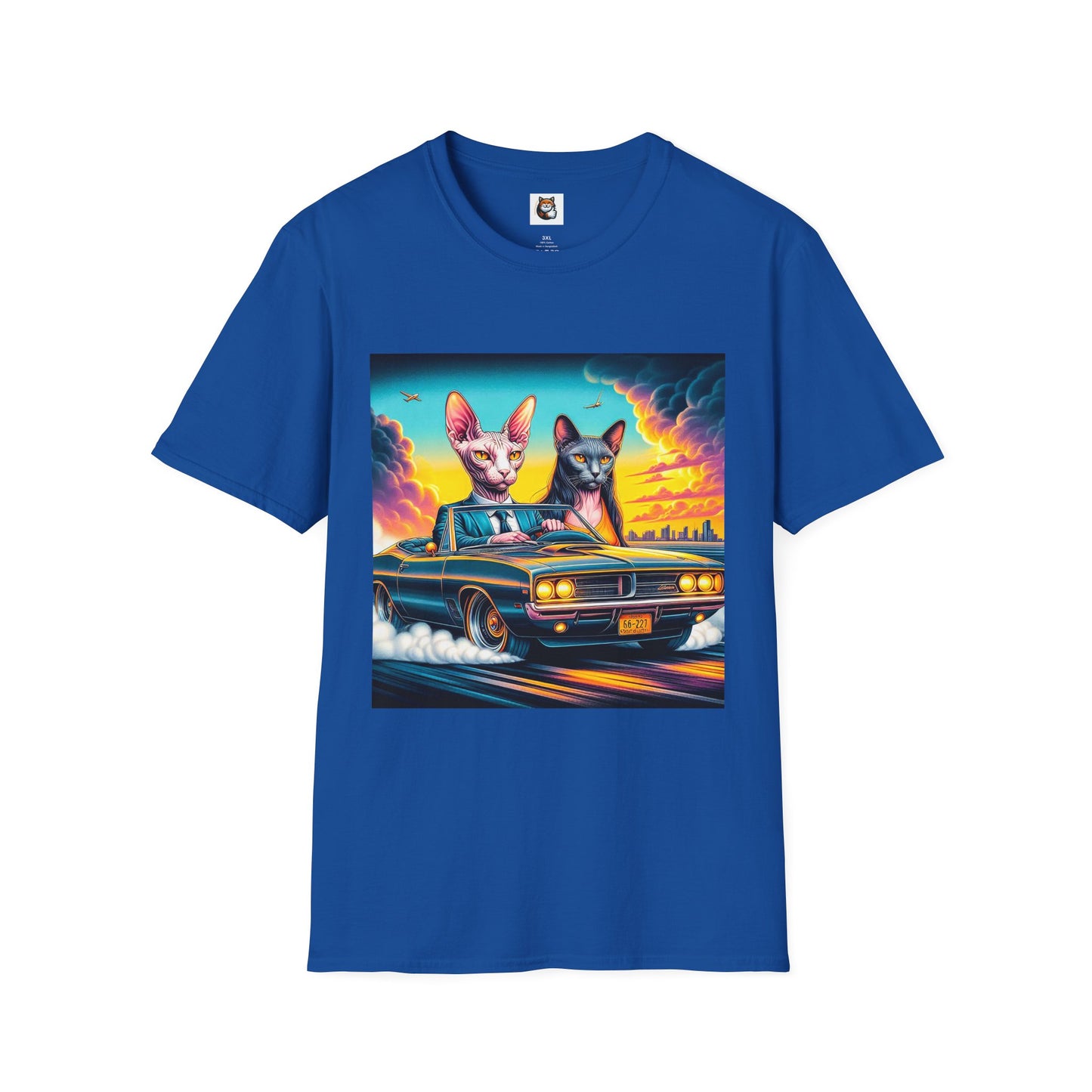 Wacky Sphynx Cat cats driving