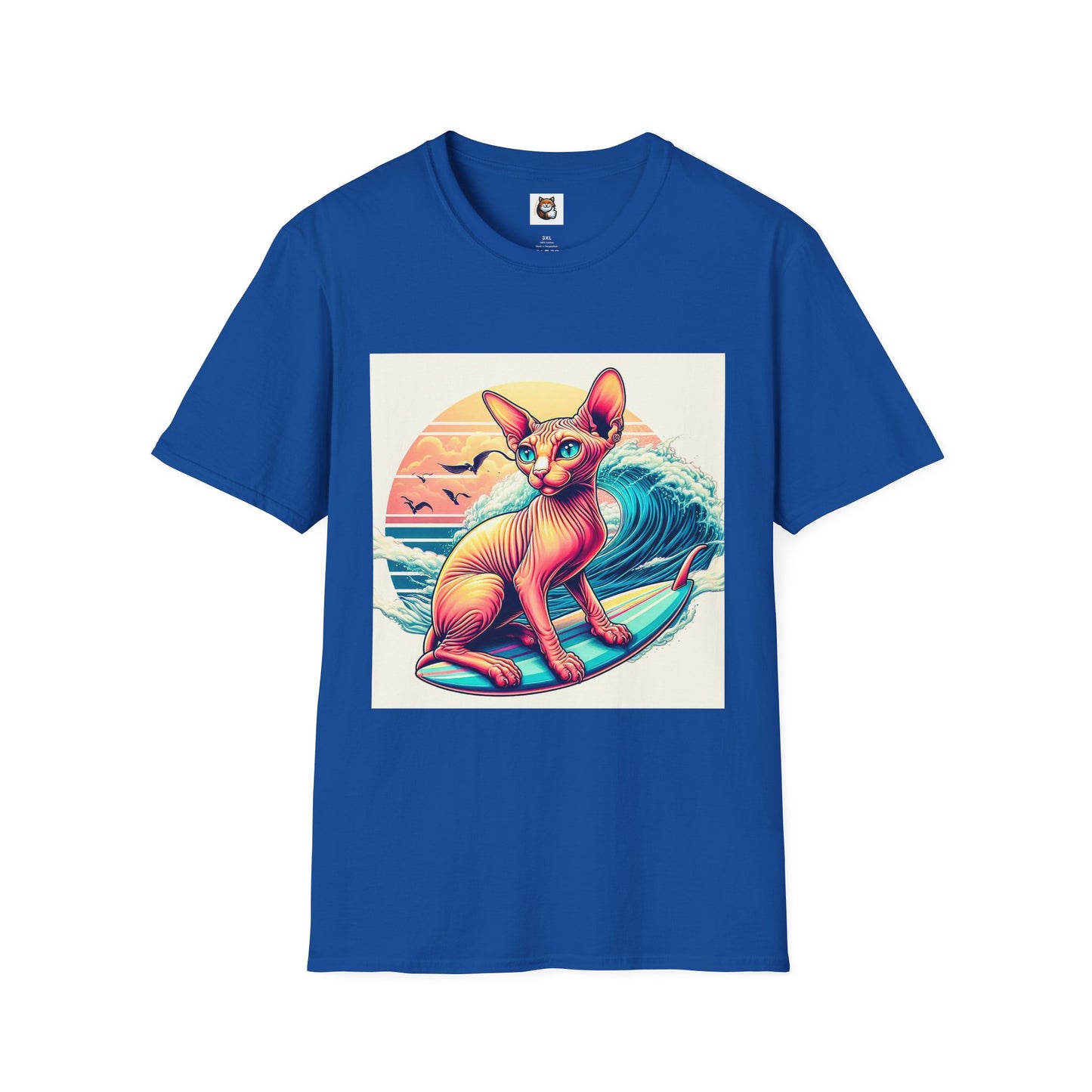 Sphynx Cat surfing